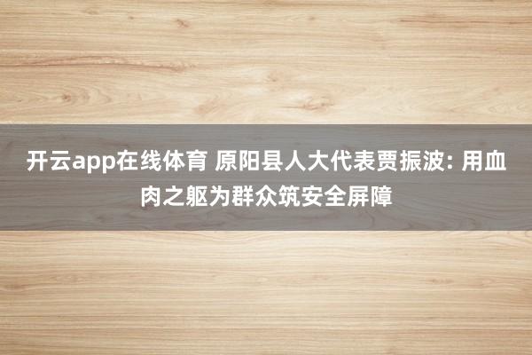 开云app在线体育 原阳县人大代表贾振波: 用血肉之躯为群众筑安全屏障