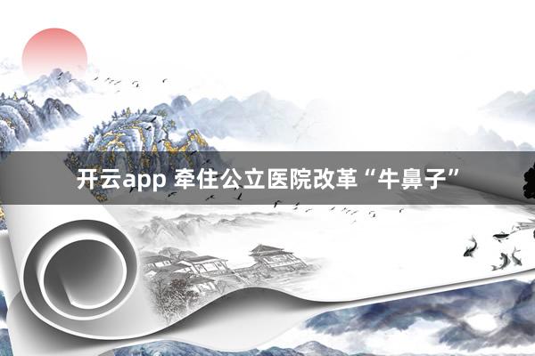 开云app 牵住公立医院改革“牛鼻子”