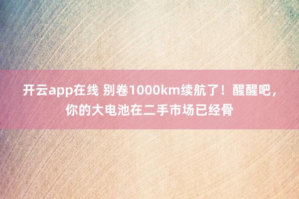 开云app在线 别卷1000km续航了！醒醒吧，你的大电池在二手市场已经骨