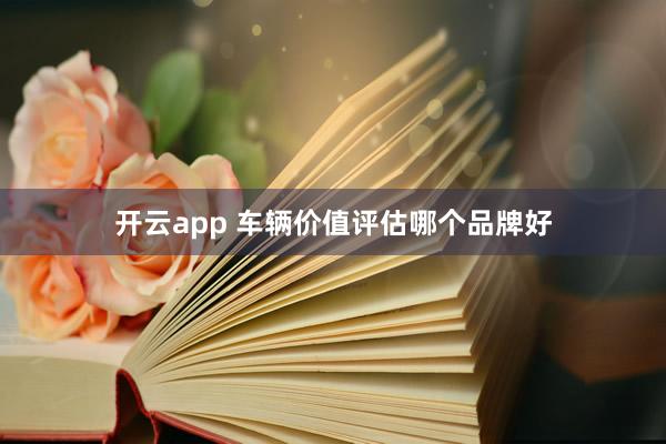 开云app 车辆价值评估哪个品牌好