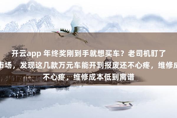 开云app 年终奖刚到手就想买车？老司机盯了三个月二手市场，发现这几款万元车能开到报废还不心疼，维修成本低到离谱