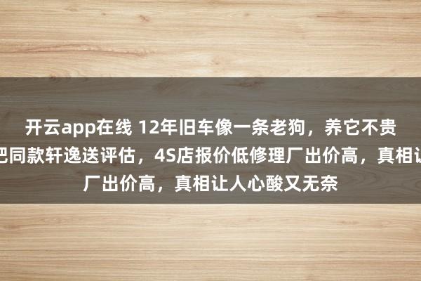 开云app在线 12年旧车像一条老狗，养它不贵却难割舍，我把同款轩逸送评估，4S店报价低修理厂出价高，真相让人心酸又无奈