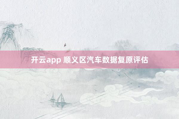 开云app 顺义区汽车数据复原评估