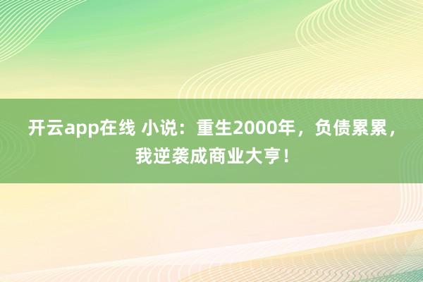 开云app在线 小说：重生2000年，负债累累，我逆袭成商业大亨！