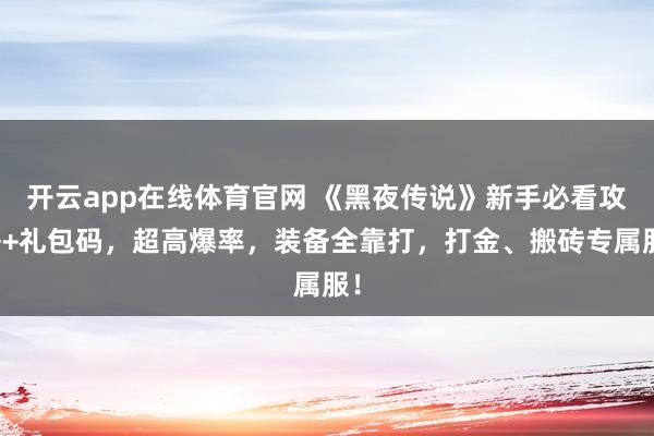 开云app在线体育官网 《黑夜传说》新手必看攻略+礼包码，超高爆率，装备全靠打，打金、搬砖专属服！