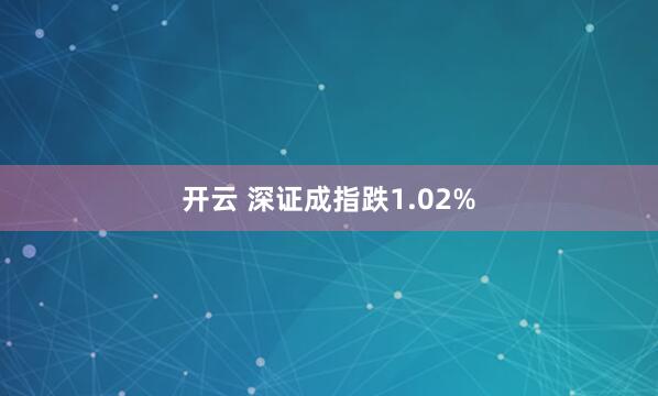开云 深证成指跌1.02%
