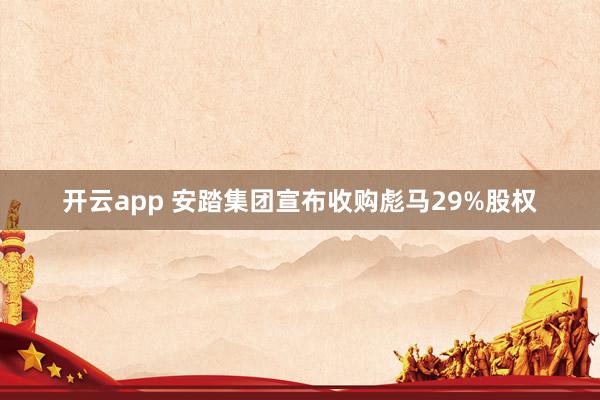 开云app 安踏集团宣布收购彪马29%股权