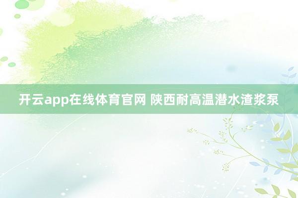 开云app在线体育官网 陕西耐高温潜水渣浆泵